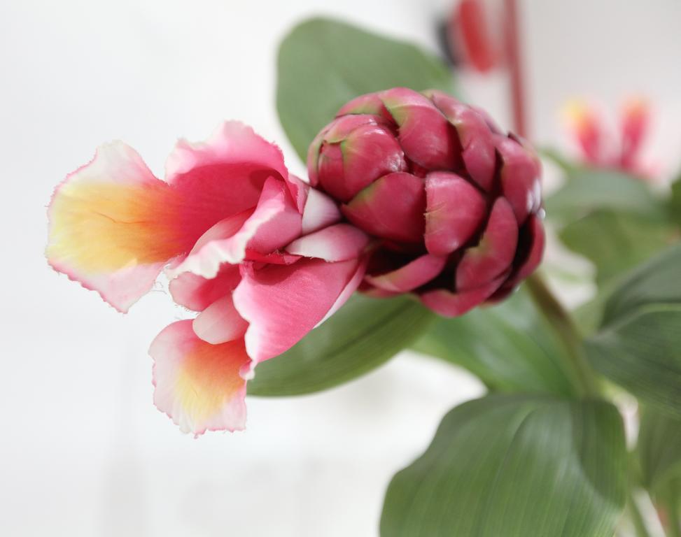 Malacca Gingerflower Boutique Hotel מראה חיצוני תמונה